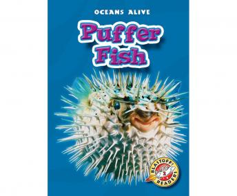 Puffer Fish