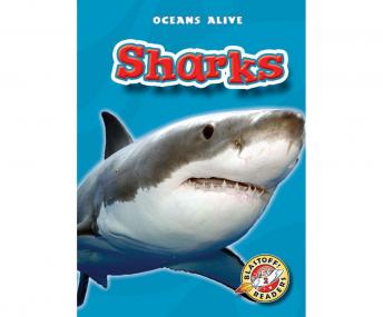 Sharks