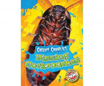 Hissing Cockroaches