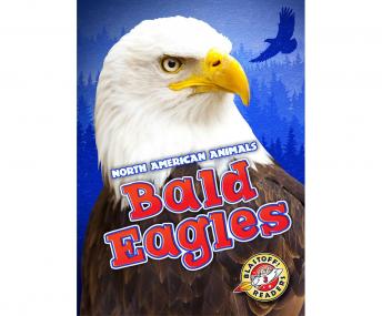 Bald Eagles: Blastoff! Readers: Level 3