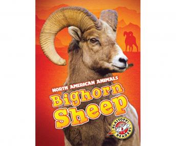 Bighorn Sheep: Blastoff! Readers: Level 3