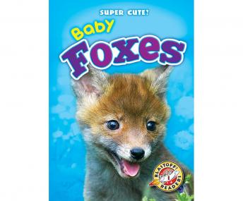 Baby Foxes: Blastoff! Readers: Level 1