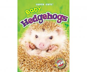 Baby Hedgehogs: Blastoff! Readers: Level 1