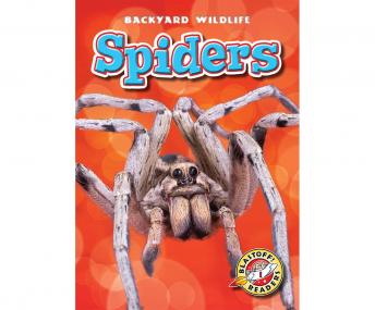Spiders, Megan Borgert-Spaniol
