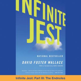 Infinite Jest: Part III: The Endnotes