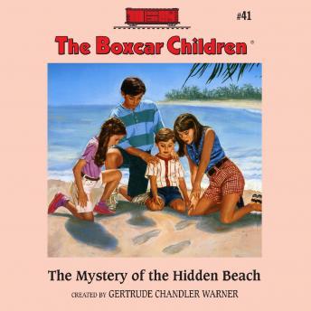 The Mystery of the Hidden Beach