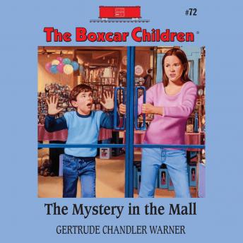The Mystery in the Mall