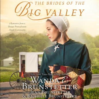 Brides of the Big Valley: 3 Romances from a Unique Pennsylvania Amish Community, Wanda E Brunstetter, Richelle Brunstetter, Jean Brunstetter