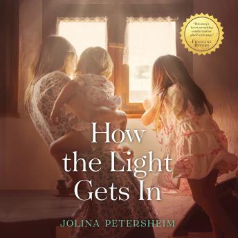 How the Light Gets In, Audio book by Jolina Petersheim