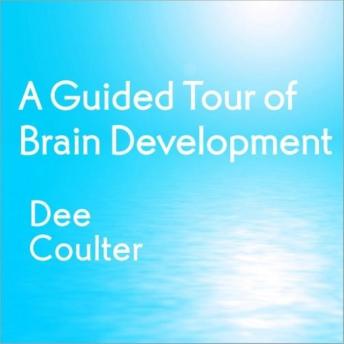 A Guided Tour of Brain Development