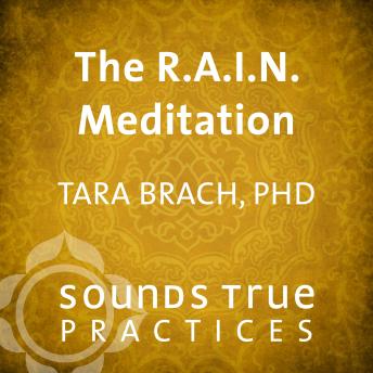 The R.A.I.N. Meditation
