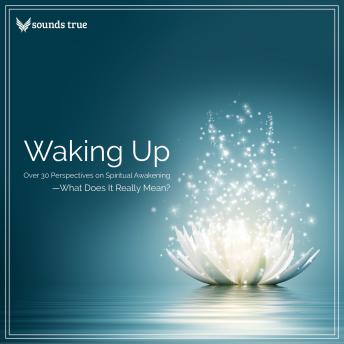 Waking Up: Over 30 Perspectives on Spiritual Awakening--What Does It Really Mean?
