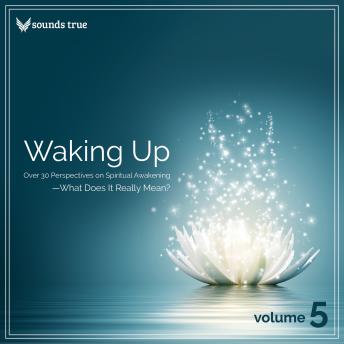 Waking Up Volume 5: Over 30 Perspectives on Spiritual Awakening--What Does It Really Mean?