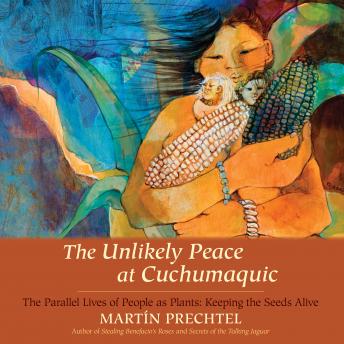 Unlikely Peace at Cuchumaquic: The Parallel Lives of People as Plants: Keeping the Seeds Alive, Martín Prechtel
