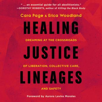 Healing Justice Lineages: Dreaming at the Crossroads of Liberation, Collective Care, and Safety sample.