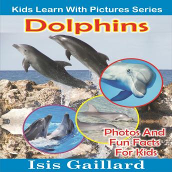 Dolphins: Photos and Fun Facts for Kids