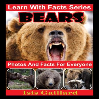 Bears Photos and Facts for Everyone: Animals in Nature