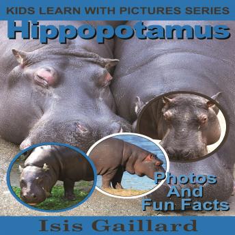 Hippopotamus: Photos and Fun Facts for Kids