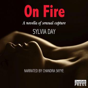 On Fire: Shadow Stalkers, Book Four