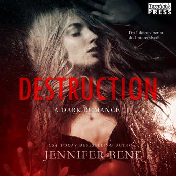 Destruction: A Dark Romance (Fragile Ties, Book One)