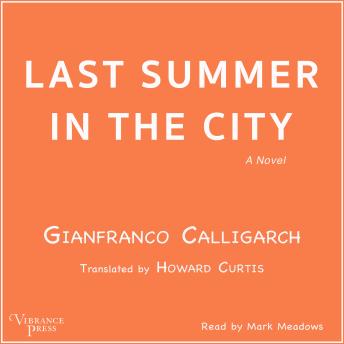 Last Summer in the City: A Novel