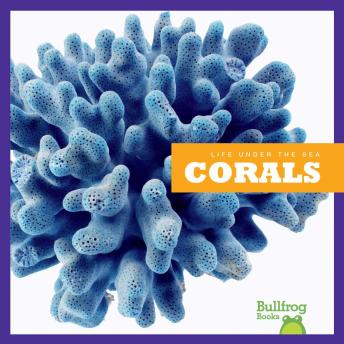Download Corals by Cari Meister