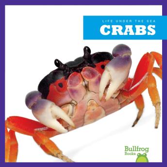 Download Crabs by Cari Meister