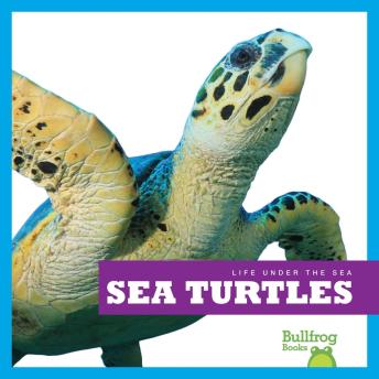 Download Sea Turtles by Cari Meister
