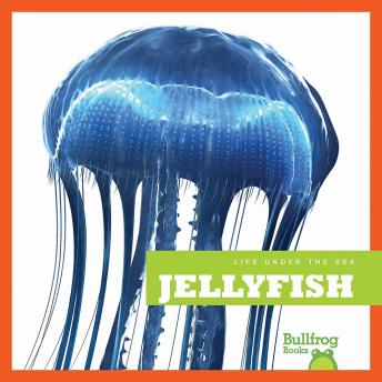 Download Jellyfish by Cari Meister