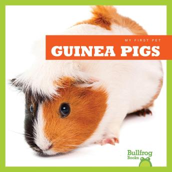 Download Guinea Pigs by Cari Meister