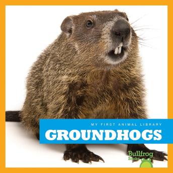 Download Groundhogs by Cari Meister