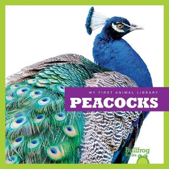 Download Peacocks by Cari Meister