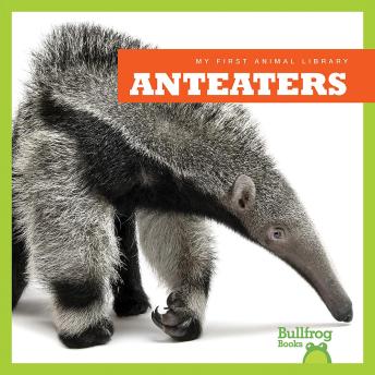Download Anteaters by Mari Schuh