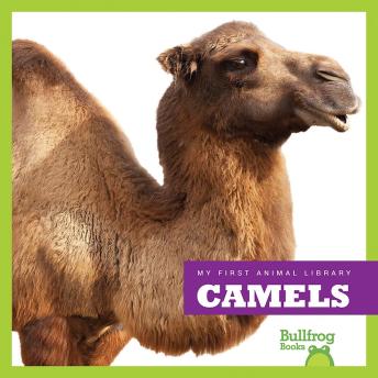 Download Camels by Mari Schuh