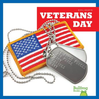 Download Veterans Day by Rebecca Pettiford