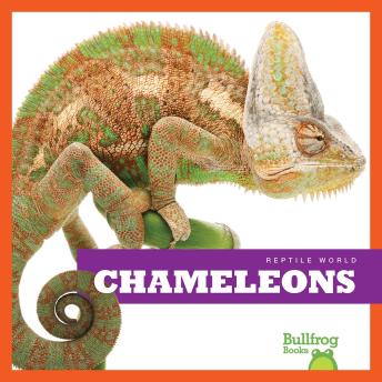 Download Chameleons by Cari Meister