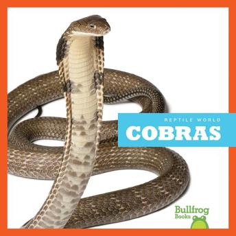 Download Cobras by Vanessa Black