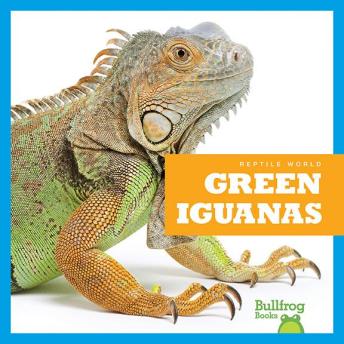 Download Green Iguanas by Vanessa Black