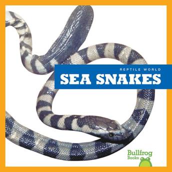 Download Sea Snakes by Vanessa Black