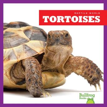 Download Tortoises by Vanessa Black