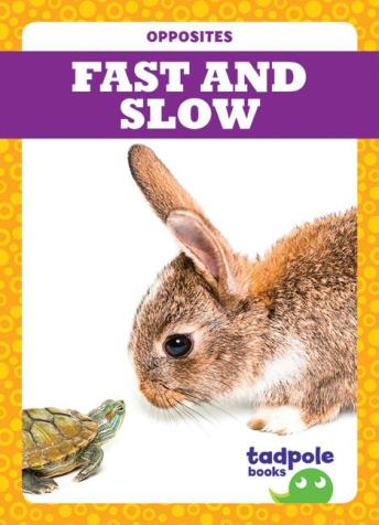 Download Fast and Slow by Erica Donner