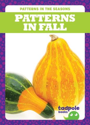 Download Patterns in Fall by Tim Mayerling