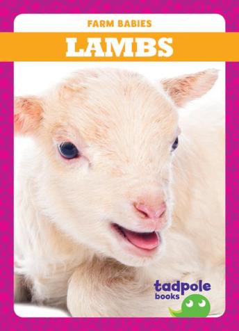 Download Lambs by Tim Mayerling