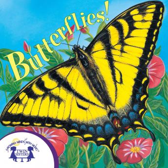 Know-It-Alls! Butterflies