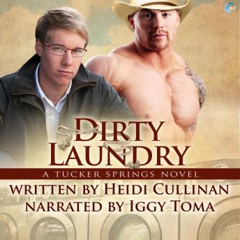 Dirty Laundry: A Tucker Springs Novel