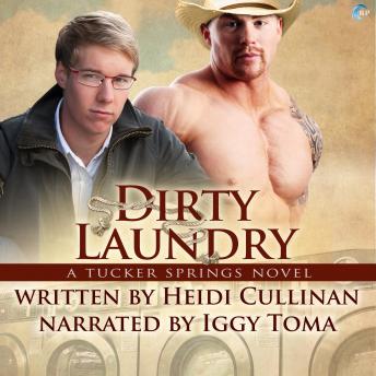 Download Dirty Laundry: A Tucker Springs Novel by Heidi Cullinan