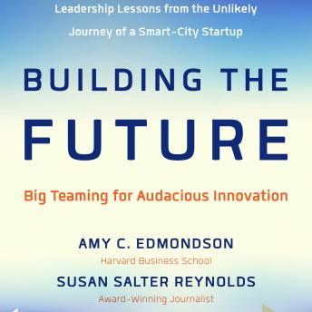 Building the Future: Big Teaming for Audacious Innovation sample.