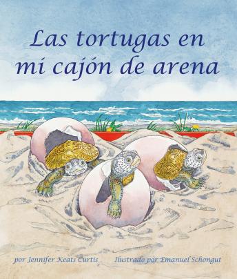 [Spanish] - Las tortugas en mi cajón de arena