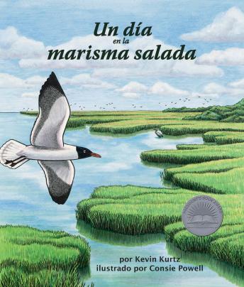 [Spanish] - Un día en la marisma salada