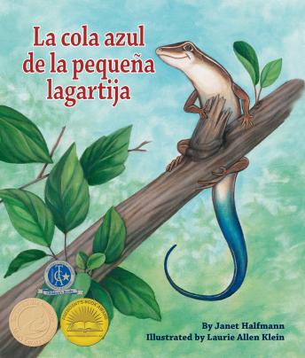[Spanish] - La cola azul de la pequeña lagartija